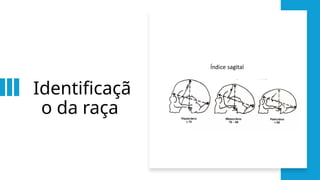 Identificaçã
o da raça
 
