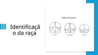 Identificaçã
o da raça
 