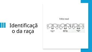 Identificaçã
o da raça
 