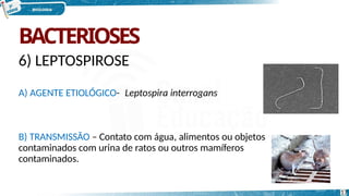 BACTERIOSES
6) LEPTOSPIROSE
A) AGENTE ETIOLÓGICO- Leptospira interrogans
B) TRANSMISSÃO – Contato com água, alimentos ou objetos
contaminados com urina de ratos ou outros mamíferos
contaminados.
17
 