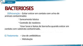 BACTERIOSES
19
D)Prevenção – Evitar entrar em contato com urina de
animais contaminados
- Saneamento básico
- Controle de roedores
-Usar luvas e botas de borracha quando entrar em
contato com substrato contaminado.
E) Tratamento – Uso de antibióticos
- Hidratação
 