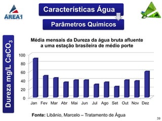 Características Água

                                   Parâmetros Químicos

                          Média mensais da Dureza da água bruta afluente
Dureza mg/L CaCO3




                             a uma estação brasileira de médio porte
                    100

                     80

                     60

                     40

                     20

                      0
                          Jan Fev Mar Abr Mai Jun     Jul Ago Set Out Nov Dez


                          Fonte: Libânio, Marcelo – Tratamento de Água
                                                                                39
 