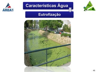 Características Água

     Eutrofização




                       48
 