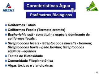 Características Água

                Parâmetros Biológicos

 Coliformes Totais
 Coliformes Fecais (Termotolerantes)
 Escherichia coli - constituí na espécie dominante de
  coliformes fecais .
 Streptococos fecais - Streptococos faecalis - homem;
  Streptococos bovis - gado bovino; Streptococos
  equinus - equinos
 Testes de Biotoxidade
 Comunidade Fitoplanctônica
 Algas tóxicas e cianotoxinas
                                                         60
 