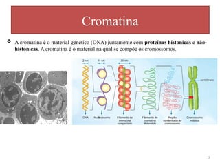  A cromatina é o material genético (DNA) juntamente com proteínas histonicas e não-
histonicas. A cromatina é o material na qual se compõe os cromossomos.
Cromatina
3
 