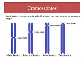 • A posição do centrômero permite a classificação dos cromossomos segundo o esquema
a seguir.
Cromossomos
6
 