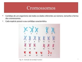 • Cariótipo de um organismo são todos os dados referentes ao número, tamanho e forma
dos cromossomos.
• Cada espécie possui o seu cariótipo característico.
Cromossomos
7
 