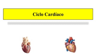 Ciclo Cardíaco
 