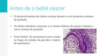 • O desenvolvimento dos dentes começa durante as seis primeiras semanas
de gestação.
• Os botões dentários começam a se formar debaixo da gengiva durante a
oitava semana de gestação.
• Esses botões vão permanecer nesse estado
ao longo do restante da gravidez e depois
do nascimento.
 