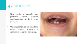 • Nos bebês, a erupção dos
primeiros dentes inicia-se
geralmente entre os 4 e 6 meses
de idade.
• O processo tem início quando as
raízes começam a crescer e
empurram os dentes para cima.
 