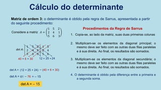 Aula 03 determinantes | PPSX