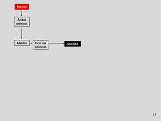 Fermentação Ruminal
Pectina



 Ácidos
urônicos




Xilulose   Ciclo das   GLICOSE
           pentoses




                                               17
 