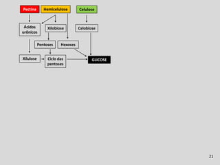 Fermentação Ruminal
Pectina       Hemicelulose       Celulose



 Ácidos         Xilobiose        Celobiose
urônicos

           Pentoses    Hexoses


Xilulose        Ciclo das               GLICOSE
                pentoses




                                                                21
 