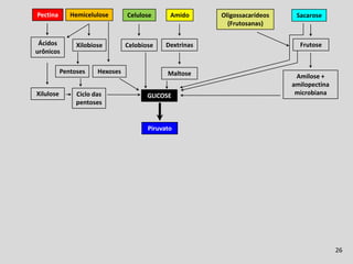 Fermentação Ruminal
Pectina       Hemicelulose       Celulose      Amido      Oligossacarídeos     Sacarose
                                                            (Frutosanas)

 Ácidos         Xilobiose        Celobiose    Dextrinas                         Frutose
urônicos

           Pentoses    Hexoses                Maltose                         Amilose +
                                                                             amilopectina
Xilulose        Ciclo das               GLICOSE                               microbiana
                pentoses


                                        Piruvato




                                                                                            26
 