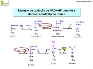 Fermentação Ruminal




Exemplo de oxidação de NADH+H+ durante a
      síntese de butirato no rúmen




                                                           3
 