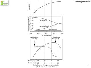 Fermentação Ruminal




              31
 