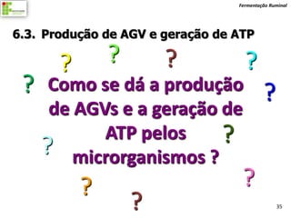Fermentação Ruminal




6.3. Produção de AGV e geração de ATP

       ?       ?       ?            ?
 ?    Como se dá a produção
                                           ?
      de AGVs e a geração de
            ATP pelos
     ? microrganismos ?   ?
           ?                       ?
                   ?                            35
 