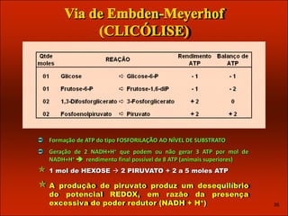 Fermentação Ruminal




 Formação de ATP do tipo FOSFORILAÇÃO AO NÍVEL DE SUBSTRATO
 Geração de 2 NADH+H+ que podem ou não gerar 3 ATP por mol de
  NADH+H+  rendimento final possível de 8 ATP (animais superiores)
   1 mol de HEXOSE  2 PIRUVATO + 2 a 5 moles ATP

A    produção de piruvato produz um desequilíbrio
    do potencial REDOX, em razão da presença
    excessiva de poder redutor (NADH + H+)                                   36
 