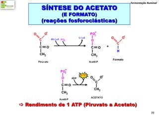 Fermentação Ruminal

        SÍNTESE DO ACETATO
               (E FORMATO)
        (reações fosforoclásticas)




 Rendimento de 1 ATP (Piruvato a Acetato)
                                                     39
 