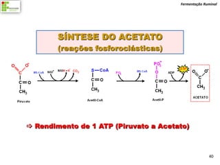 Fermentação Ruminal




        SÍNTESE DO ACETATO
        (reações fosforoclásticas)




 Rendimento de 1 ATP (Piruvato a Acetato)



                                                     40
 