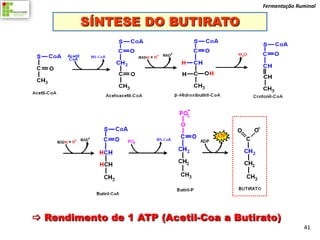 Fermentação Ruminal


        SÍNTESE DO BUTIRATO




 Rendimento de 1 ATP (Acetil-Coa a Butirato)
                                                       41
 