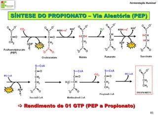 Fermentação Ruminal



SÍNTESE DO PROPIONATO – Via Aleatória (PEP)




   Rendimento de 01 GTP (PEP a Propionato)
                                                       45
 