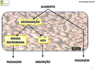 Fermentação Ruminal


                    ALIMENTO



       DEGRADAÇÃO




  MASSA
                    AGV
MICROBIANA
                               Rúmen




PASSAGEM      ABSORÇÃO          PASSAGEM

                                                   5
 