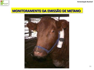 Fermentação Ruminal




MONITORAMENTO DA EMISSÃO DE METANO




                                              54
 