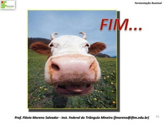 Fermentação Ruminal




Prof. Flávio Moreno Salvador - Inst. Federal do Triângulo Mineiro (fmoreno@iftm.edu.br)    55
 