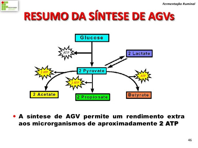 Fermentação Ruminal  RESUMO DA SÍNTESE DE AGVs               ATP       2 ATP                                  ATP         ...