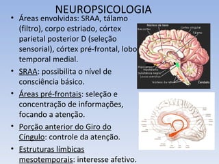 NEUROPSICOLOGIA
• Áreas envolvidas: SRAA, tálamo
  (filtro), corpo estriado, córtex
  parietal posterior D (seleção
  sensorial), córtex pré-frontal, lobo
  temporal medial.
• SRAA: possibilita o nível de
  consciência básico.
• Áreas pré-frontais: seleção e
  concentração de informações,
  focando a atenção.
• Porção anterior do Giro do
  Cíngulo: controle da atenção.
• Estruturas límbicas
  mesotemporais: interesse afetivo.
 
