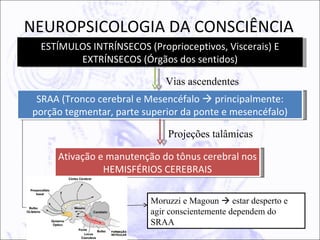 NEUROPSICOLOGIA DA CONSCIÊNCIA
 ESTÍMULOS INTRÍNSECOS (Proprioceptivos, Viscerais) E
        EXTRÍNSECOS (Órgãos dos sentidos)

                             Vias ascendentes
 SRAA (Tronco cerebral e Mesencéfalo  principalmente:
porção tegmentar, parte superior da ponte e mesencéfalo)

                             Projeções talâmicas

     Ativação e manutenção do tônus cerebral nos
               HEMISFÉRIOS CEREBRAIS

                         Moruzzi e Magoun  estar desperto e
                         agir conscientemente dependem do
                         SRAA
 
