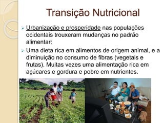 Transição Nutricional 
 Urbanização e prosperidade nas populações 
ocidentais trouxeram mudanças no padrão 
alimentar: 
 Uma dieta rica em alimentos de origem animal, e a 
diminuição no consumo de fibras (vegetais e 
frutas). Muitas vezes uma alimentação rica em 
açúcares e gordura e pobre em nutrientes. 
 