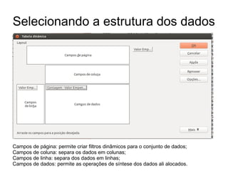 Selecionando a estrutura dos dados
Campos de página: permite criar filtros dinâmicos para o conjunto de dados;
Campos de coluna: separa os dados em colunas;
Campos de linha: separa dos dados em linhas;
Campos de dados: permite as operações de síntese dos dados ali alocados.
 