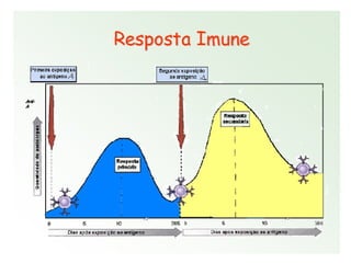 Imunidade Inata e Adquirida