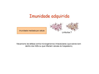 Imunidade Inata e Adquirida
