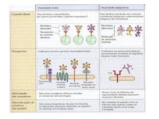 Imunidade Inata e Adquirida