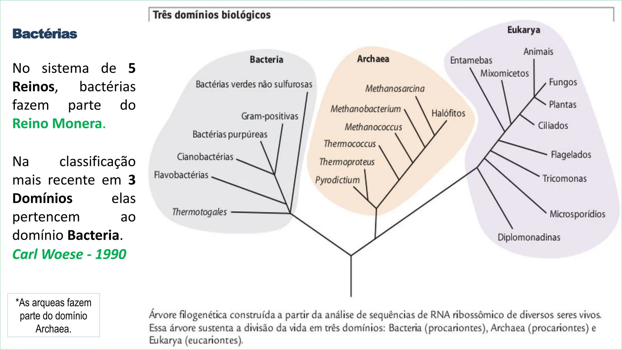 Aula 03 - Monera.pdf 2º Ano do Ensino Médio | PDF