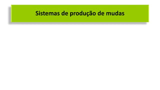 Sistemas de produção de mudas
 