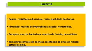 Enxertia
• Pepino: resistência a Fusarium, maior qualidade dos frutos.
• Pimentão: murcha de Phytophthora capsici; nematóides.
• Berinjela: murcha bacteriana, murcha de fusário, nematóides.
• Tomateiro: controle de doenças, resistência ao estresse hídrico;
estresse salino.
 