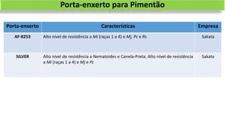 Porta-enxerto Características Empresa
AF-8253 Alto nível de resistência a Mi (raças 1 a 4) e Mj, Pc e Rs Sakata
SILVER Alto nível de resistência a Nematoides e Canela-Preta; Alto nível de resistência
a Mi (raças 1 a 4) e Mj e Pc
Sakata
Porta-enxerto para Pimentão
 