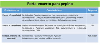 Porta-enxerto Características Empresa
Potent (C. moschata) Resistência a Fusarium oxysporum f.sp. cucumerinum e resistência
intermediaria a Oídio; Frutos brilhantes sem “cera” (bloomless); Melhor
desenvolvimento da planta em condições de baixa temperatura.
Takii
Fuerza (C. moschata) Melhor desenvolvimento da planta em condições de baixa temperatura;
Resistência a Fusarium oxysporum f.sp. cucumerinum e resistência
intermediaria a Oídio.
Takii
Ferro (C. maxima x C.
moschata)
Resistência à Fusarium, Vertificilium, Pythium
Porta-enxerto para pepino, melão e melancia
Rijk Zwaan
Porta-enxerto para pepino
 