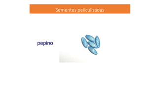 Sementes peliculizadas
pepino
 