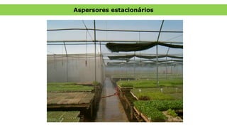 Aspersores estacionários
 
