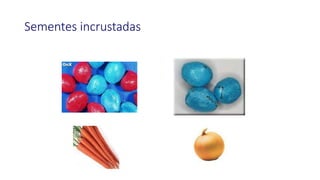 Sementes incrustadas
 