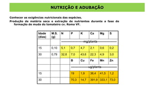 NUTRIÇÃO E ADUBAÇÃO
Conhecer as exigências nutricionais das espécies.
Produção de matéria seca e extração de nutrientes durante a fase de
formação de muda do tomateiro cv. Roma VF.
Idade
(dias)
M.S.
(g)
N P K Ca Mg S
-----------------------mg/planta--------------------
15 0,10 5,1 0,7 4,7 2,1 0,6 0,2
30 0,79 32,8 7,0 43,6 22,3 4,9 3,0
B Cu Fe Mn Zn
------------------ug/planta----------------
15 19 1,9 36,4 41,5 1,2
30 70,3 14,7 391,9 333,1 73,0
 