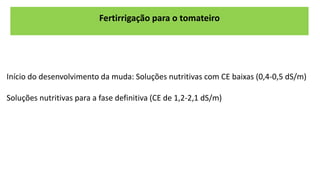 Fertirrigação para o tomateiro
Início do desenvolvimento da muda: Soluções nutritivas com CE baixas (0,4-0,5 dS/m)
Soluções nutritivas para a fase definitiva (CE de 1,2-2,1 dS/m)
 
