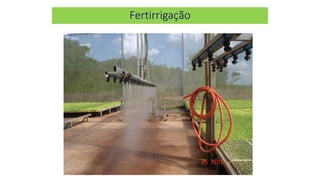 Fertirrigação
 