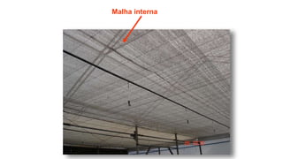 Malha interna
 