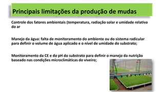 Principais limitações da produção de mudas
Controle dos fatores ambientais (temperatura, radiação solar e umidade relativa
do ar
Manejo da água: falta de monitoramento do ambiente ou do sistema radicular
para definir o volume de água aplicado e o nível de umidade do substrato;
Monitoramento da CE e do pH do substrato para definir o manejo da nutrição
baseado nas condições microclimáticas do viveiro;
 